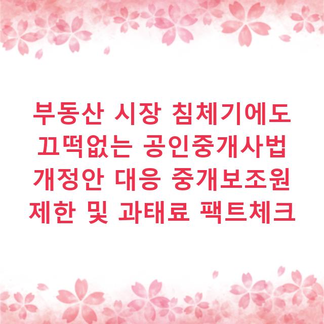 부동산 시장 침체기에도 끄떡없는 공인중개사법 개정안 대응 중개보조원 제한 및 과태료 팩트체크