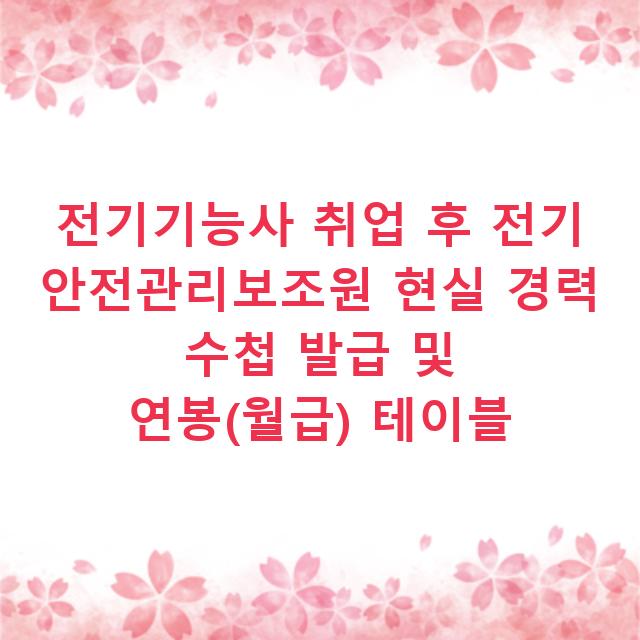 전기기능사 취업 후 전기 안전관리보조원 현실 경력 수첩 발급 및 연봉(월급) 테이블