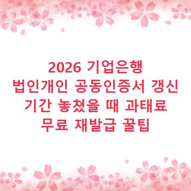 2026 기업은행 법인개인 공동인증서 갱신 기간 놓쳤을 때 과태료 무료 재발급 꿀팁